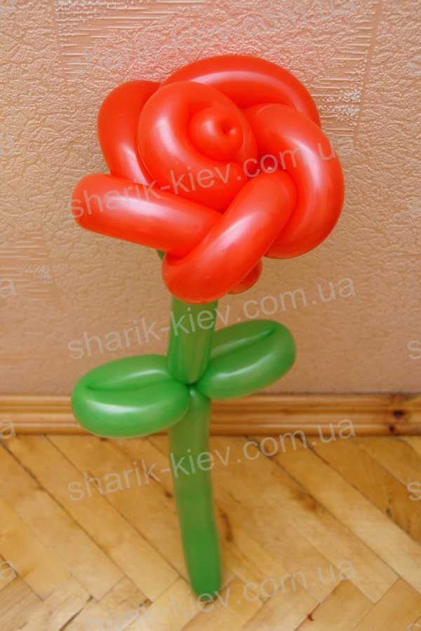 Роза Обыкновенная из воздушных шаров