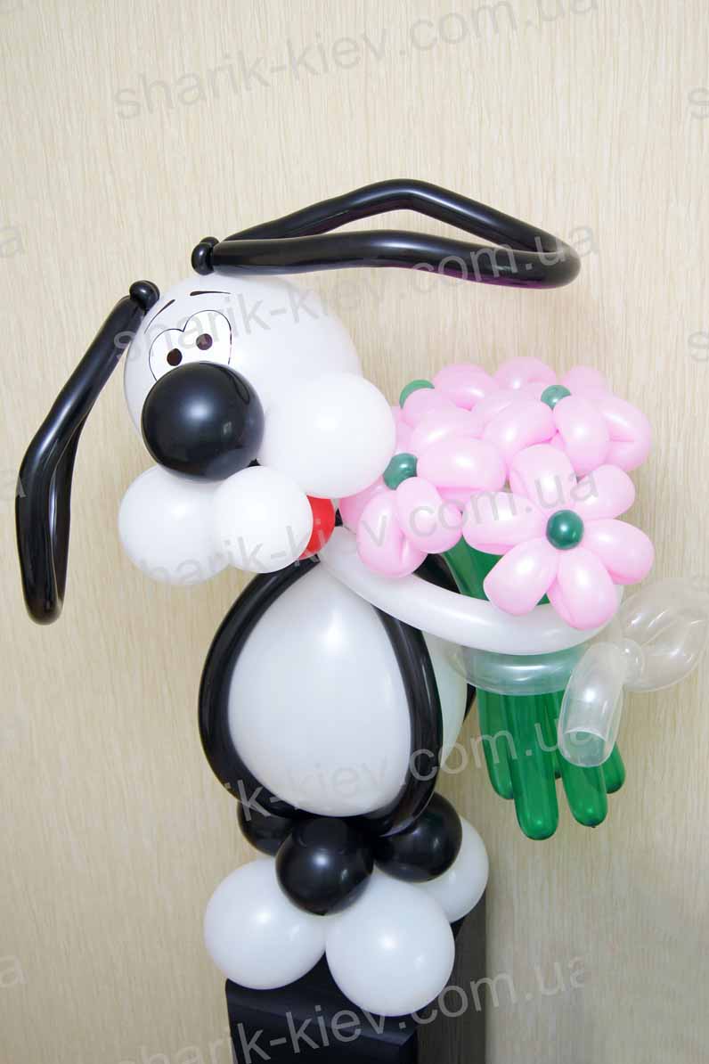 Офисный щенок с букетом из воздушных шаров