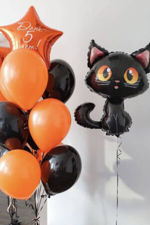 Облако из шаров Черный кот